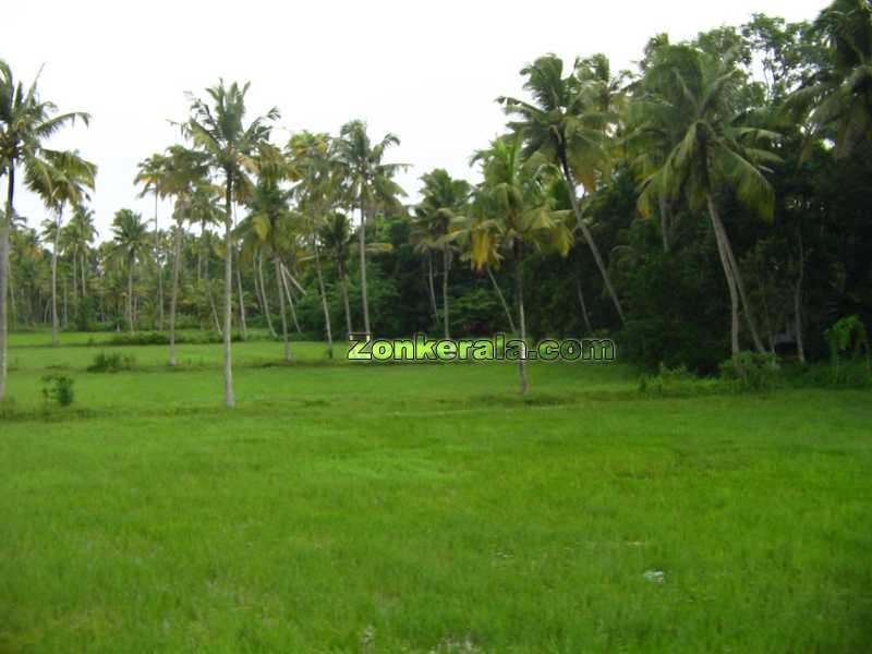 Kerala Natural Beauty a