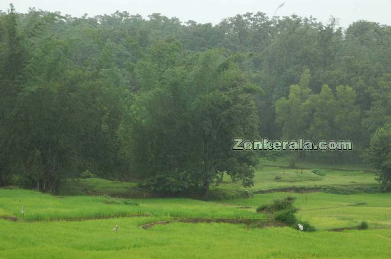 Download this Kerala Photos Nature... picture
