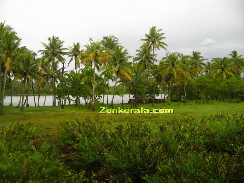 Download this Kerala Photos Nature... picture