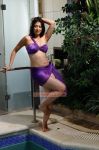 Lakshmi Rai 4201