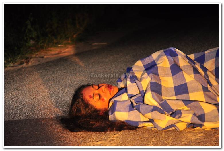 Janakan movie stills 105