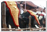 Haripad utsavam pakalpooram photos 10