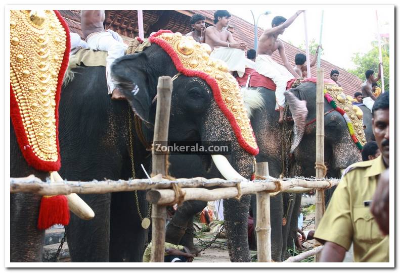 Haripad utsavam pakalpooram photos 11