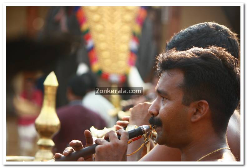 Haripad utsavam pakalpooram photos 12