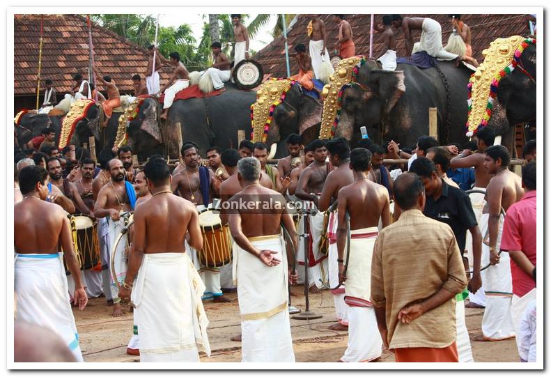 Haripad utsavam pakalpooram photos 15