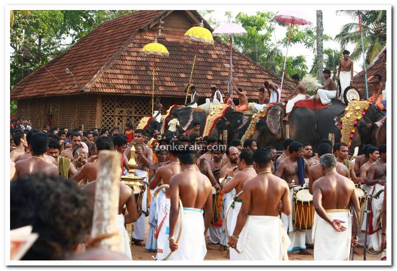 Haripad utsavam pakalpooram photos 16