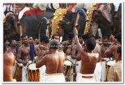 Haripad utsavam pakalpooram photos 17