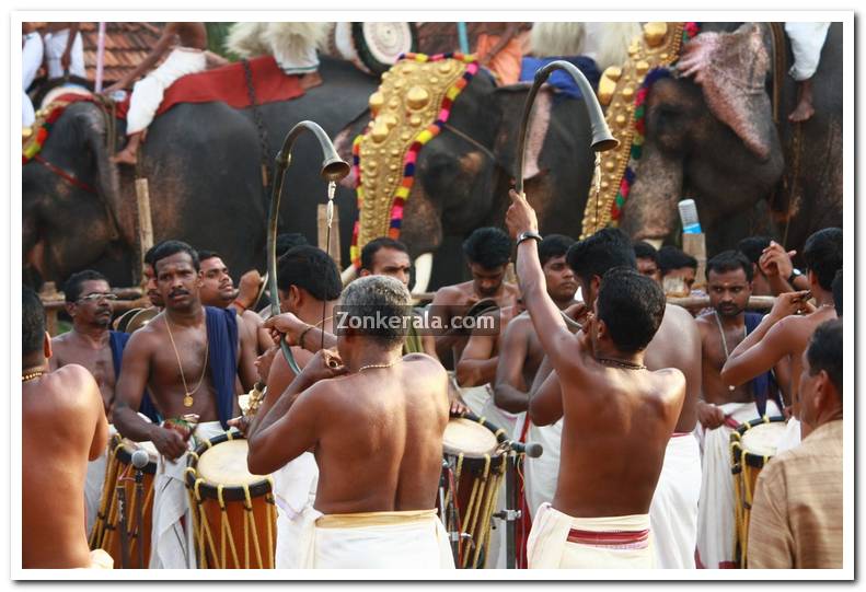 Haripad utsavam pakalpooram photos 17