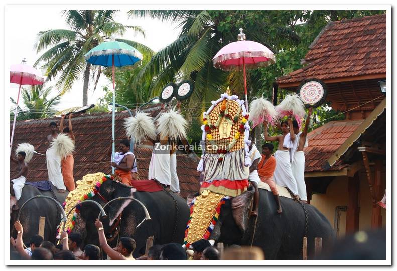 Haripad utsavam pakalpooram photos 18