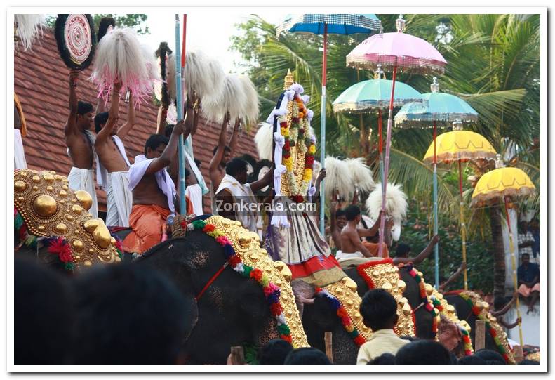 Haripad utsavam pakalpooram photos 6