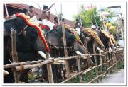 Haripad utsavam pakalpooram photos 8