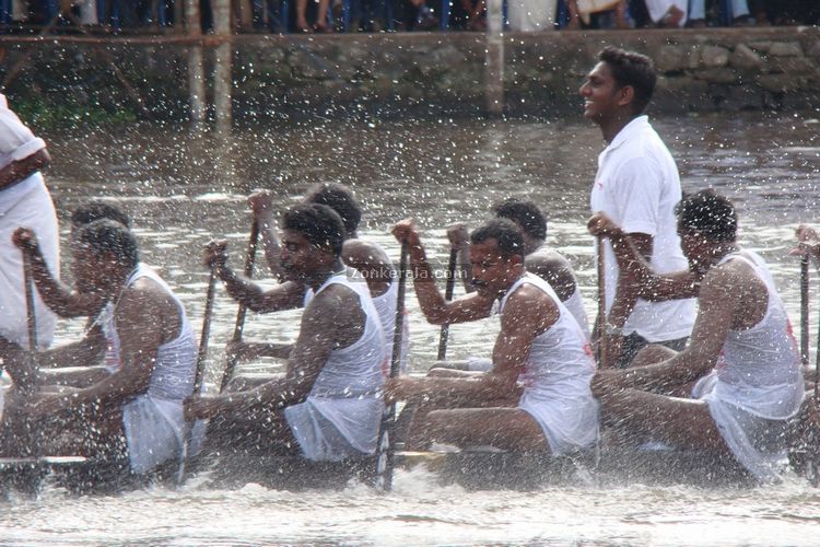 Onam snake boat race