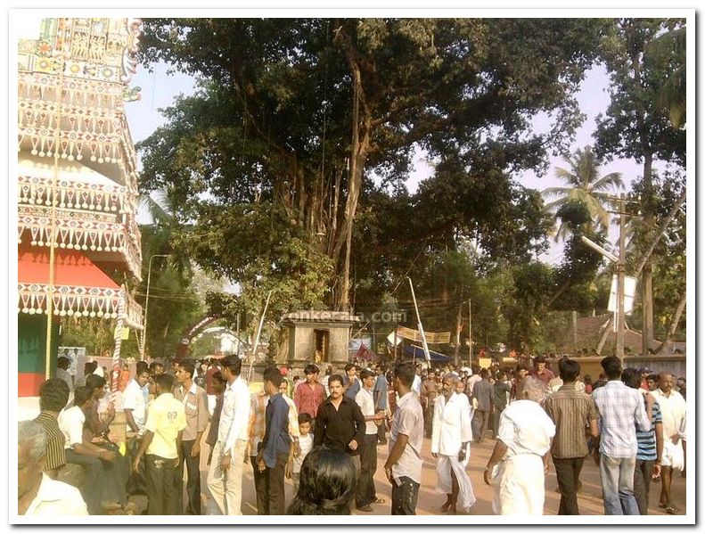 Puttingal temple meena bharani 1