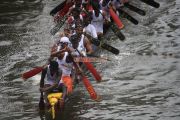 Payippad boat race 2012 1
