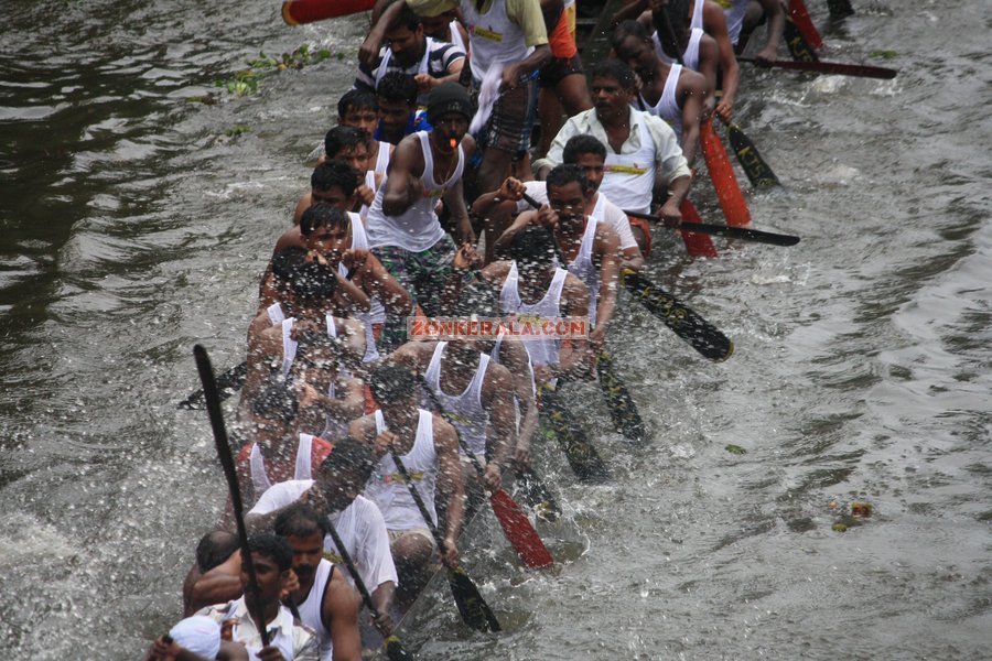 Payippad boat race 2012 pictures 10