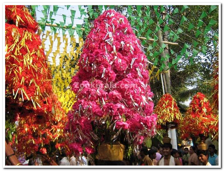 Kavadi closer view