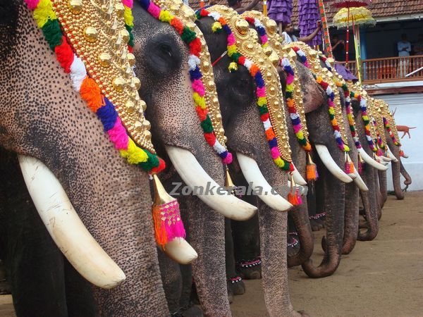 Thripunithura decorated elephants