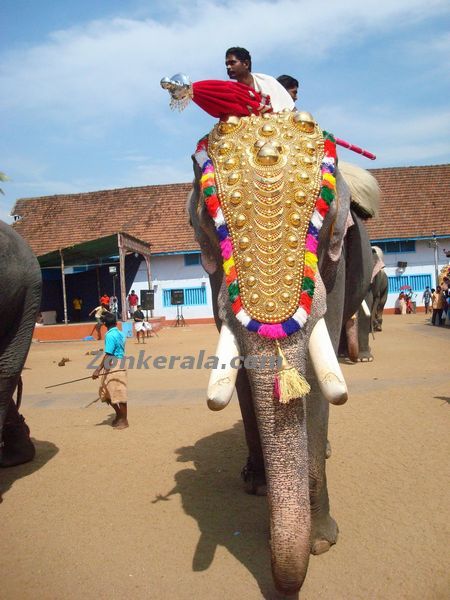 Tripunithura elephant