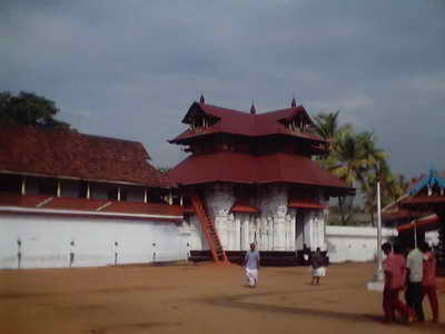Tripunithura temple 15