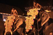 Elephants for vrischikotsavam tripunithura3 513