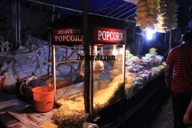 Vrischikotsavam shops tripunithura temple 2 695