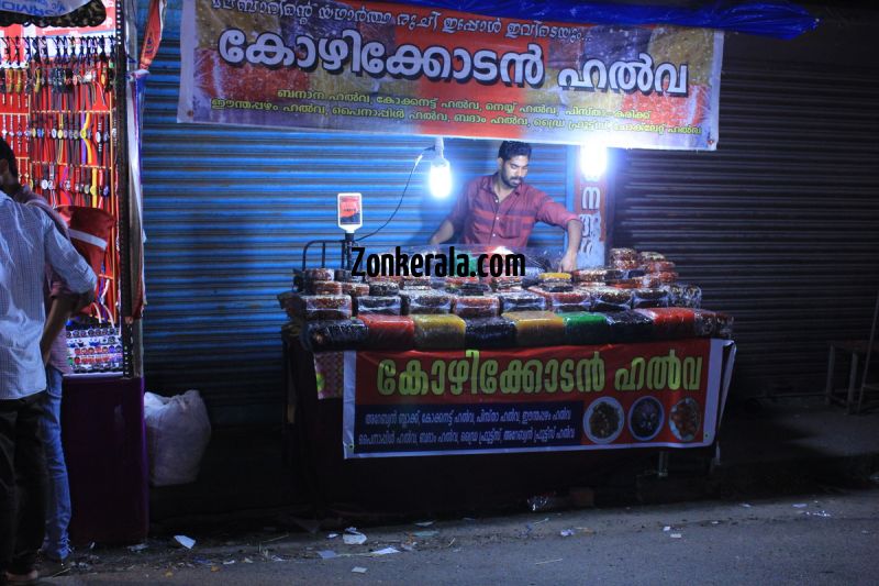 Vrischikotsavam shops tripunithura temple 8 294