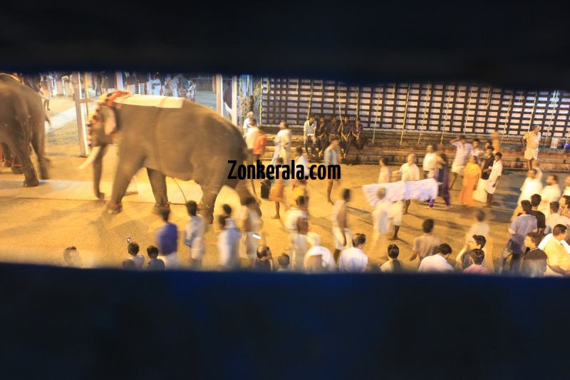 Vrischikotsavam tripunithura temple 3 629