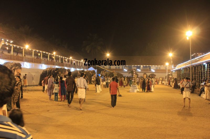 Vrischikotsavam tripunithura temple 5 802