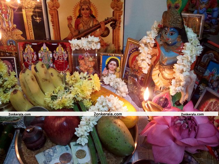 Vishu Kani 2011