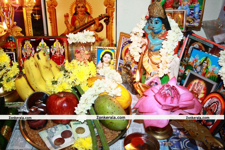 Vishu Kani 2011