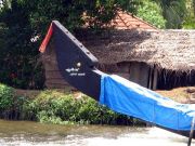 Snake Boats