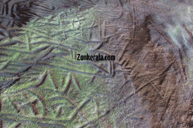 Ancient writing on edakkal caves wall 178