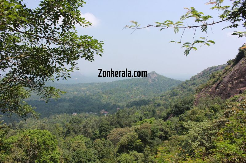 Greenery down edakkal caves wayanad 279