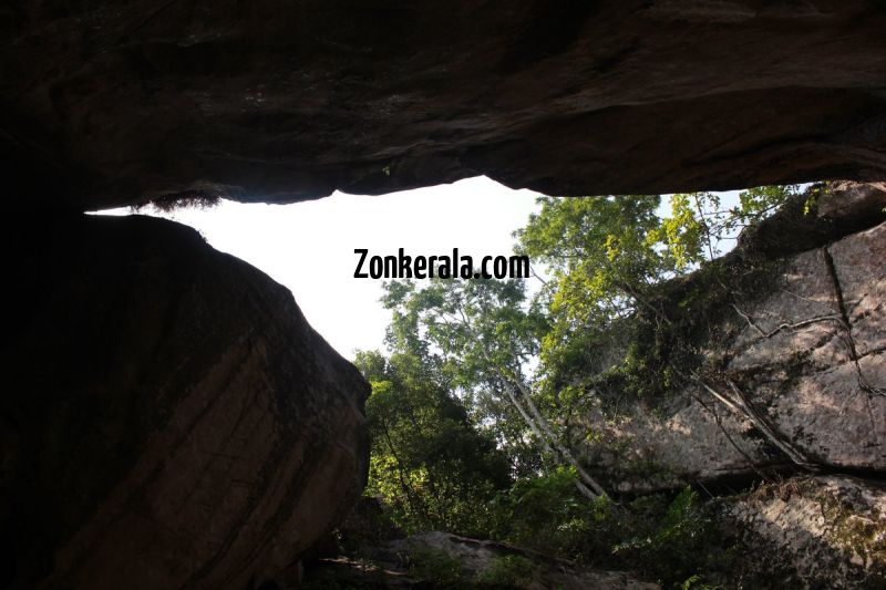 Trees from inside edakkal caves 268