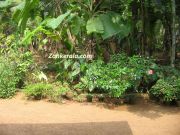 Garden in a kerala home