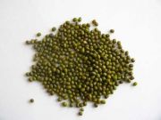 Green dry beans 3248