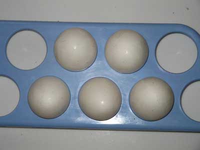 Egg 3243