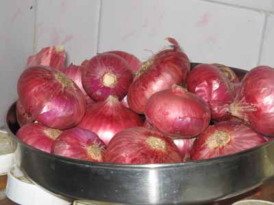 Onion 0627