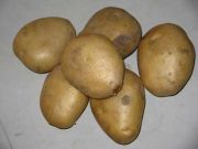 Potato 3232