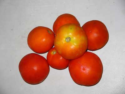 Tomato 3228