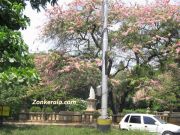 Bengaluru city photo 4