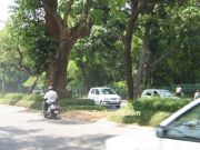 Bengaluru city photo 5