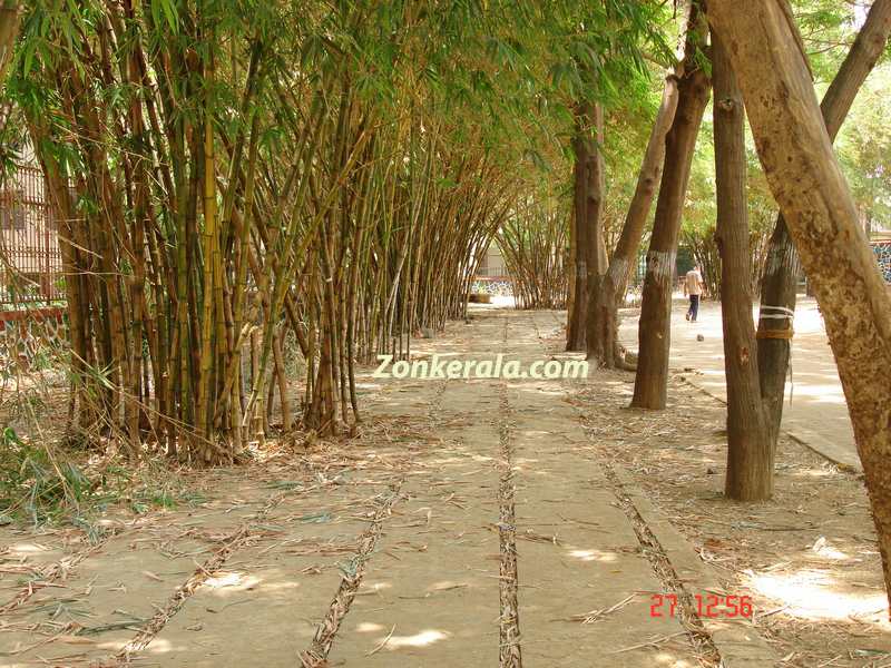 A park at malad