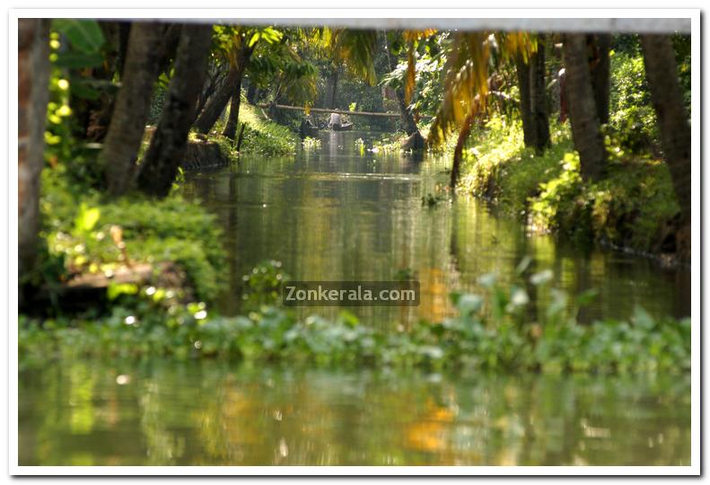 Backwater canal 1