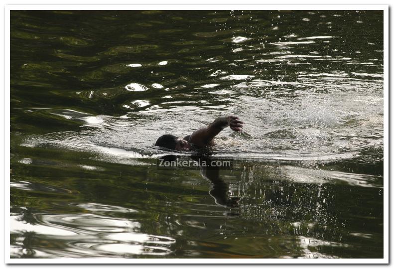 Man swims in backwaters 2