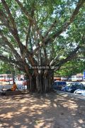 Alappuzha railway station picture2