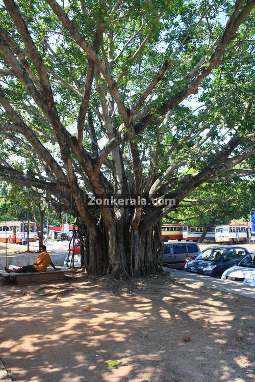 Alappuzha railway station picture2