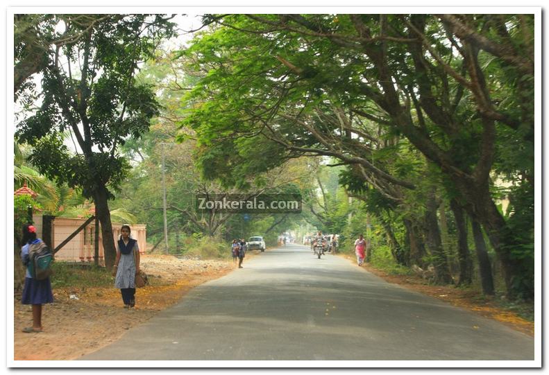 Edathua thakazhi road