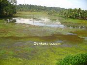 Fields under water