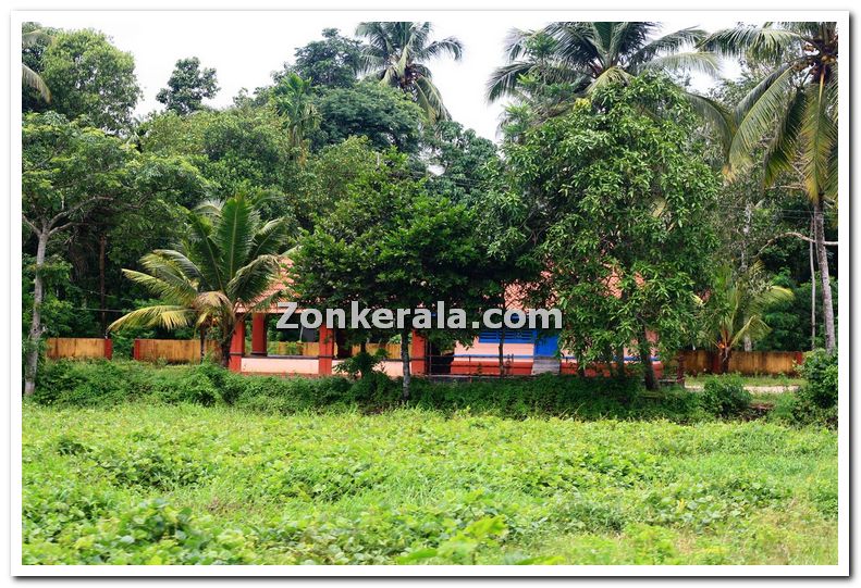 Sasthamuri temple near haripad